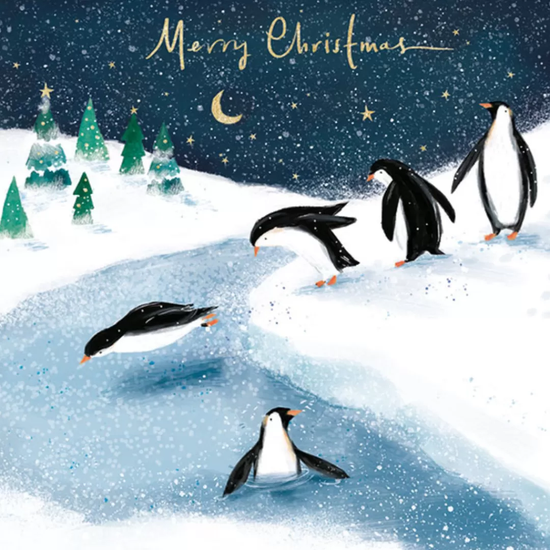 The Christmas Shop Packs Of Cards*Boxed Penguin Cards