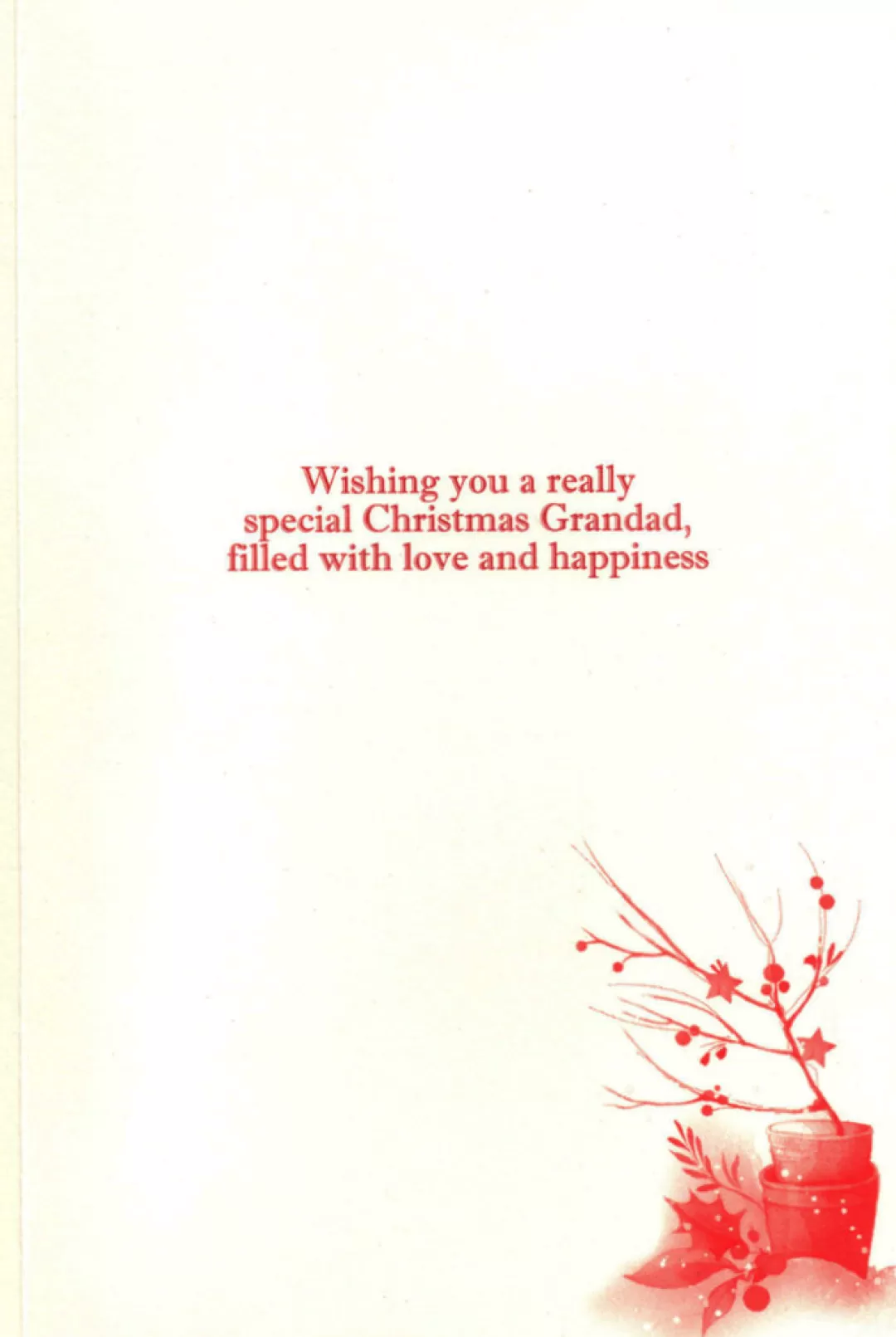 The Christmas Shop Cards For Relatives*Grandad Christmas Card