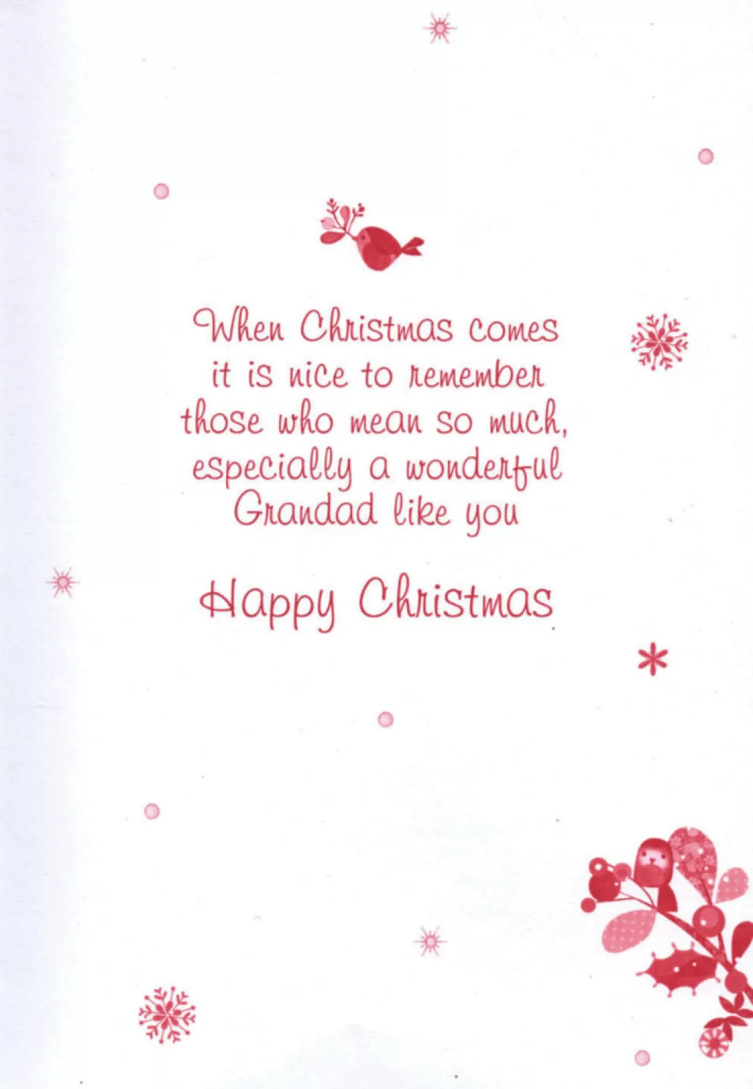 The Christmas Shop Cards For Relatives*Grandad Christmas Card