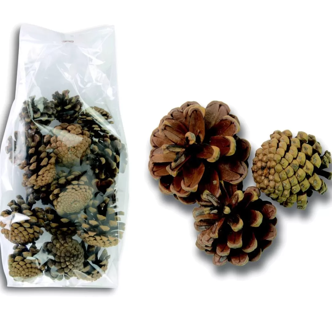 The Christmas Shop Picks & Berries*Pine Cones